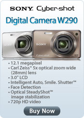 Sony Cyber-shot Digital Camera W290
