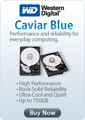Western Digital Caviar Blue