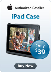 Apple iPad Case