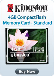 Kingston 4GB CompactFlash Memory Card - Standard
