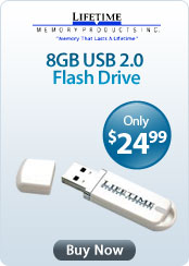 lifetime 8gb usb 2 flash drive