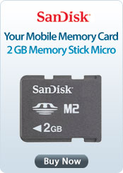 SanDisk 2GB Memory Stick Micro
