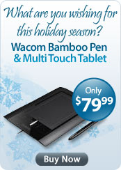 Wacom Bamboo Pen and Multi Touch Tablet