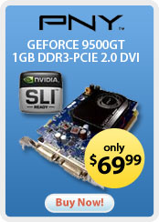 PNY &nbsp;- &nbsp;GEFORCE 9500GT 1GB DDR3-PCIE 2.0 DVI