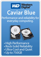 Western Digital Caviar Blue Hard Drive