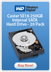 Western Digital &nbsp;- &nbsp;Caviar SE16 250GB Internal SATA Hard Drive - 20 Pack