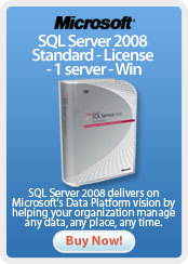 SQL Server 2008 Standard License 1 server Win