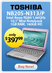 Toshiba NB205 N313 P