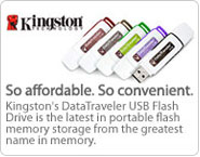 Kingston - Data Traveler
