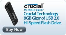Crucial Technology 8GB Gizmo