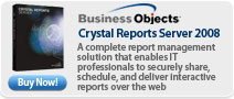 Business Objects &nbsp;Crystal Reports Server 2008