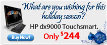 What are you wishing for this holiday season