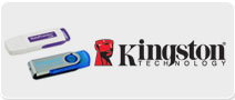 Kingston Digital DataTraveler 4GB USB 2.0 Flash Drive