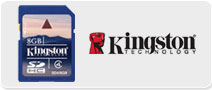 kingston