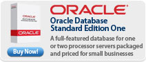 Oracle &nbsp;Database Standard Edition One
