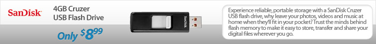 Sandisk Cruzer 4GB Flash Drive