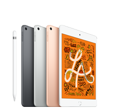 iPad mini