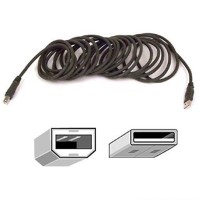 Belkin PRO Series USB cable - 10 ft F3U133B10 &nbsp;&nbsp;&nbsp;&nbsp;&nbsp;&nbsp;&nbsp;&nbsp;&nbsp;&nbsp;