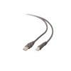 Belkin 6" Pro Series USB 2.0 Device Cable