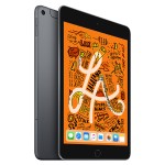 Apple iPad mini Wi-Fi + Cellular 256GB - Space Gray MUXM2LL/A