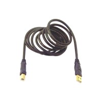 Belkin Gold Series USB cable - 6 ft F3U133-06-GLD &nbsp;&nbsp;&nbsp;&nbsp;&nbsp;&nbsp;