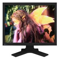 Eizo Nanao 21.3" FlexScan LCD Monitor