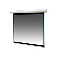 Draper, INC. 100" Salara Motorized Projection Screen