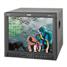 JVC DT-V1710CGU - CRT monitor DT-V1710CGU