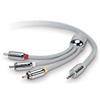 Belkin 12 foot Audio Video cable for Color LCD 4G/5G iPods - Gray