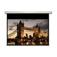 AccuScreens 100" Diagonal HDTV Electric Projector Screen