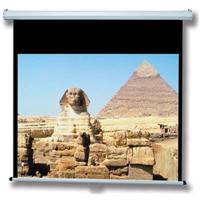 AccuScreens s Manual Screen - projection screen - 100 in ( 254 cm ) 800002