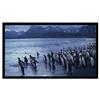 AccuScreens s Fixed Screen - projection screen - 106 in ( 269 cm ) 800025