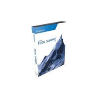 Pervasive PSQL Summit v10 Server 32-bit for Windows - Version upgrade package - 20 users - upgrade from 9.0 - Win