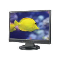 NEC Displays 24" Flat Panel LCD Monitor