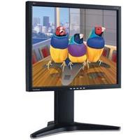 ViewSonic 19" Professional LCD with 98% NTSC Color