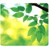 Fellowes Recycled Mouse Pad Leaves - mouse pad