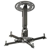 Peerless PARAMOUNT Ceiling/Wall Projector Mount with Adjustable Extension PPA - mounting kit ( Tilt & Swivel )