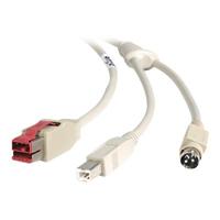 Startech PoweredUSB cable - 8 pin USB PlusPower (24 V) (M) - 4 pin USB Type B, 3 pin Power mini-DIN (M) - 3 ft PUSBDYB24V03