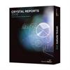 Business Objects Crystal Reports Server 2008 - license 7008057