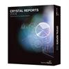 Business Objects Crystal Reports Server 2008 - license 7008061