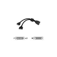 Matrox 1 FOOT LFH-60-TO-DUAL DVI-I CABLE FOR G