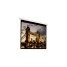 AccuScreens s Electric Screen - projection screen (motorized) - 94 in ( 239 cm ) 800061