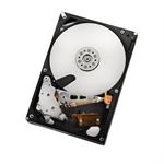 Hitachi GST Deskstar HD32000 IDK/7K 2TB 7200 RPM Internal SATA 3GB/s Hard Drive