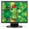 NEC Displays MultiSync LCD175M-BK - LCD monitor - 17"