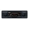 Pyle PLR14MPF - radio / digital player