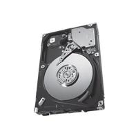 Seagate 300GB Savvio 15K.3 ST9300653SS Hard drive - SAS-2