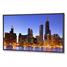 NEC Displays MultiSync P462 - 46" Class ( 46" viewable ) LCD flat panel display P462