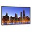 NEC Displays MultiSync P462 - 46" Class ( 46" viewable ) LCD flat panel display P462