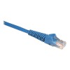 TrippLite 25ft 1000BT Cat5e Snagless Patch Cable Blue