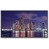 NEC Displays 55" 1080p Professional-Grade Large-Screen Display
